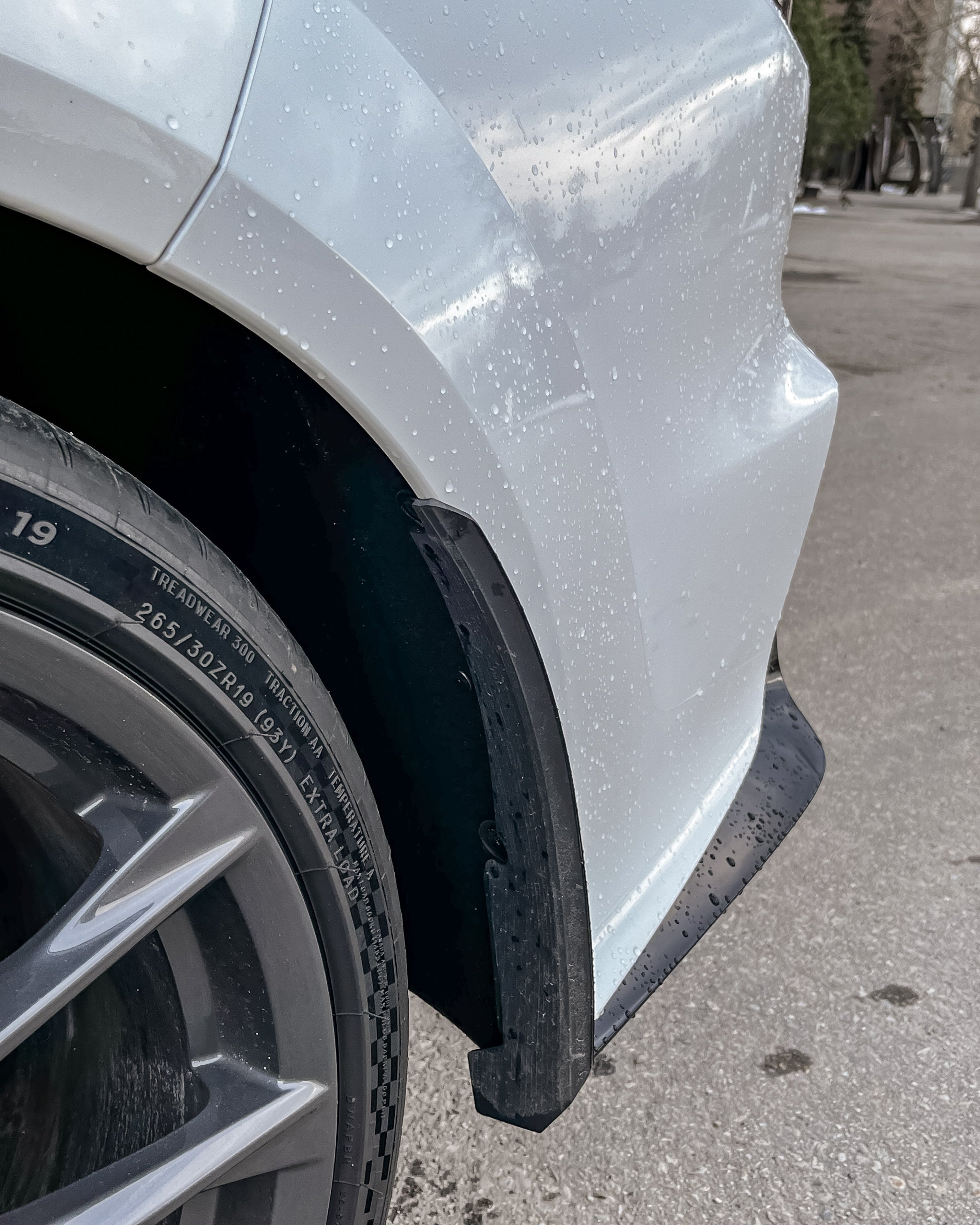 Acura DE5 Integra Type S splash guards – Megachip